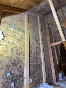 Moldy Attic