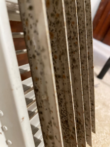 Moldy HVAC Diffusor