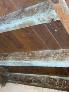 Stairwell Mold