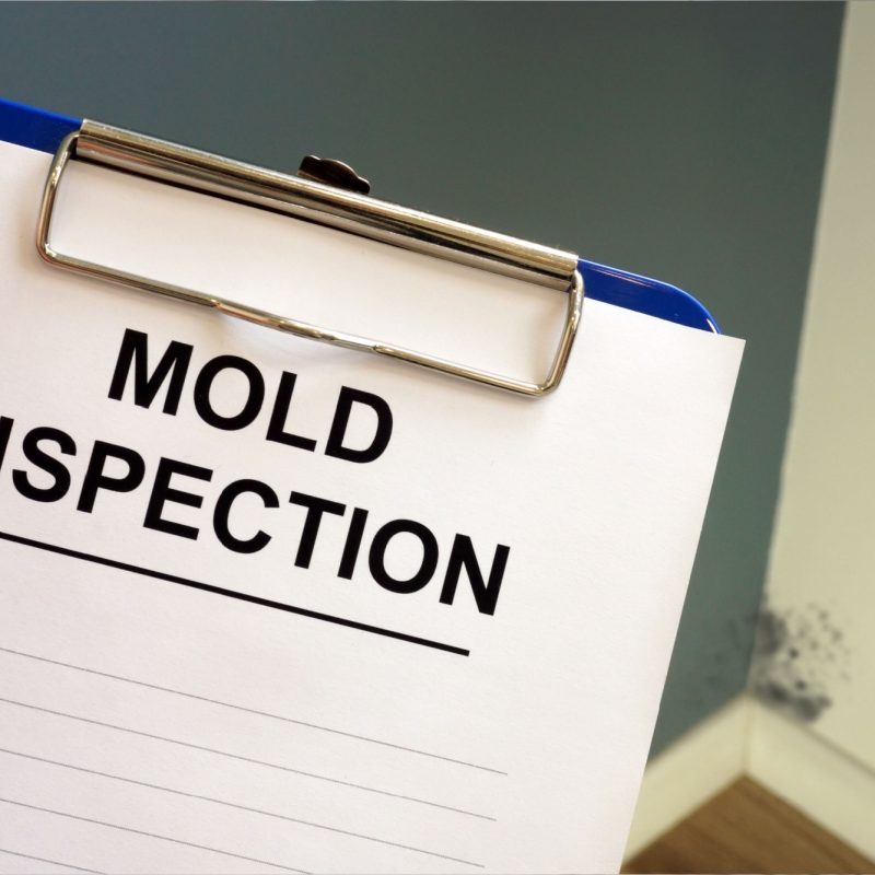 Mold Testing (2)