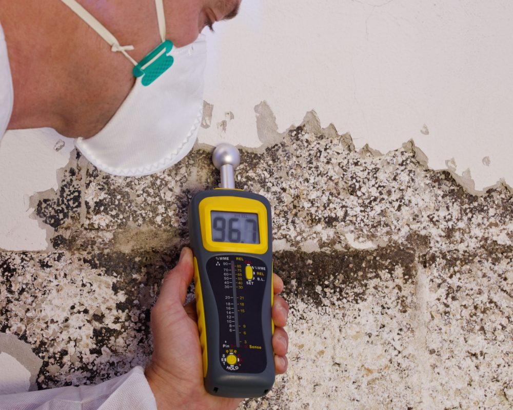 mold inspection